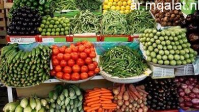 أسعار الخضروات في أسواق مطروح اليوم السبت 31 يناير 2026 تتصدر الطماطم بـ 8 جنيهات