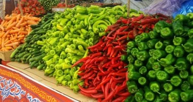 أسعار الخضروات في الأقصر وتحديثات السوق بمرور الصعيد اليوم الأربعاء مع تفاصيل الميزانية