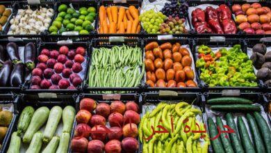 أسعار الخضروات والفواكه اليوم الخميس 5 فبراير 2026 في سوق العبور