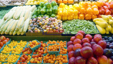 أسعار الخضروات والفواكه اليوم السابع من فبراير 2026 في سوهاج مع تحديثات التموين