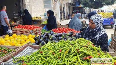 أسعار الخضروات والفواكه في المنوفية اليوم الأحد 1 فبراير 2026