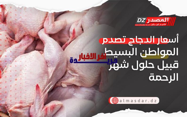 أسعار الدجاج المفاجئة تثير اهتمام المواطن البسيط مع اقتراب شهر الرحمة