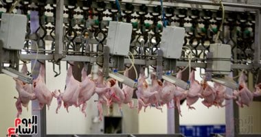 أسعار الدواجن واللحوم والأسماك في سوهاج اليوم الأحد 1 فبراير 2026