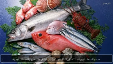 أسعار السمك اليوم الأحد 1 فبراير 2026 تشهد تباينًا ملحوظًا بين البلطي والجمبري والأسماك البحرية
