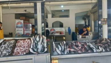 أسعار السمك اليوم في أسواق مطروح تواصل ارتفاع الفيليه البلطي بـ190 جنيهًا