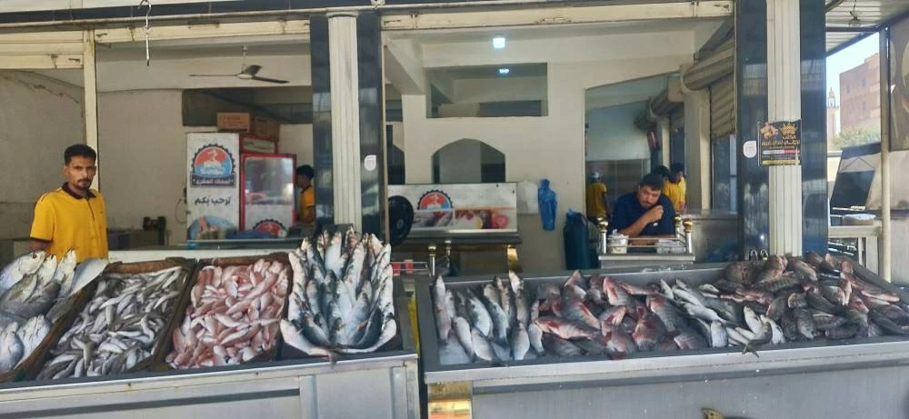 أسعار السمك اليوم في أسواق مطروح تواصل ارتفاع الفيليه البلطي بـ190 جنيهًا