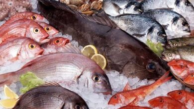 أسعار السمك في الأسواق اليوم الثلاثاء 3 فبراير 2026