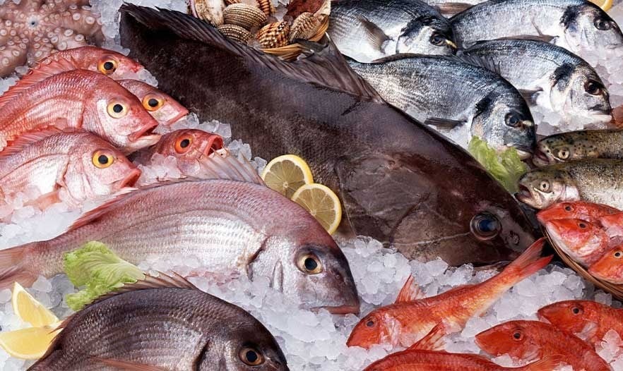 أسعار السمك في الأسواق اليوم الثلاثاء 3 فبراير 2026