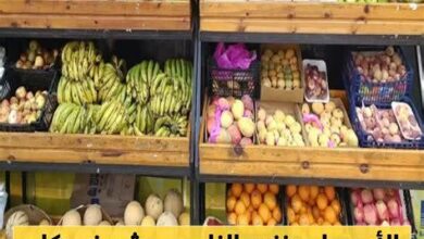 أسعار الطماطم اليوم في الأسواق ومدى تأثيرها على المستهلكين