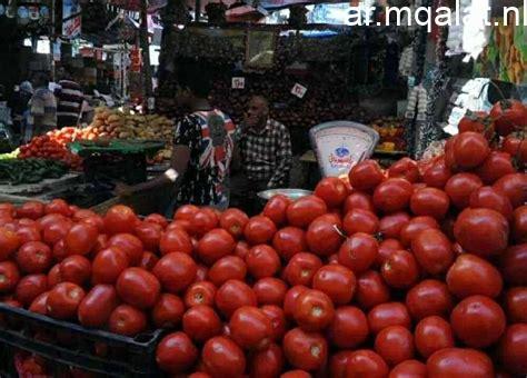 أسعار الطماطم تصل إلى 5 جنيهات في الأسواق المحلية