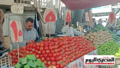 أسعار الطماطم والبطاطس والفواكه في أسواق الشرقية اليوم الأربعاء 4 فبراير 2026