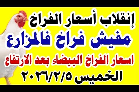 أسعار الفراخ في بورصة الدواجن اليوم الاثنين 2 فبراير 2026 تتفاوت بين الساسو والبلدي