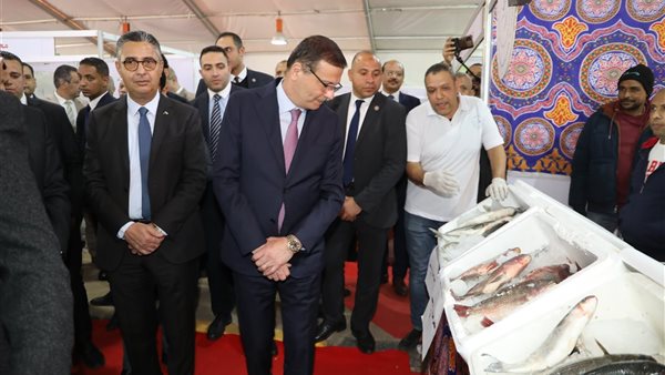 أسعار اللحوم البلدي تصل إلى 280 جنيه والبيض بـ105 جنيهات والبطاطس بـ4 جنيهات