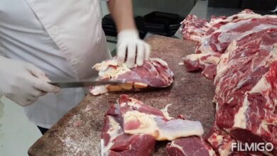 أسعار اللحوم اليوم الأحد 1 فبراير 2026 ارتفاع الضاني وتراجع البتلو في الأسواق