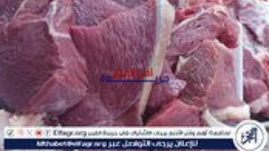 أسعار اللحوم في أسيوط اليوم السبت 7 2 2026 تعرف على التغيرات والأسعار الجديدة