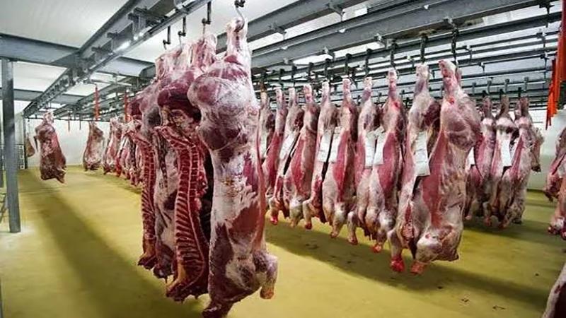 أسعار اللحوم في مصر اليوم الأحد مع تحديثات السوق والاتجاهات الجديدة