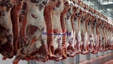أسعار اللحوم في مصر اليوم السبت تعرف على أحدث التغيرات والأسعار الحالية