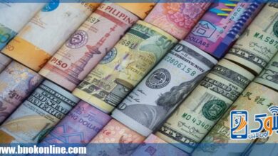 أسعار صرف العملات العربية والأجنبية في البنوك المصرية اليوم الإثنين 2-2-2026.. عروض وخدمات بنكية محدثة