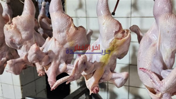 أسعار لحوم الدواجن في القاهرة اليوم الخميس 5 فبراير 2026