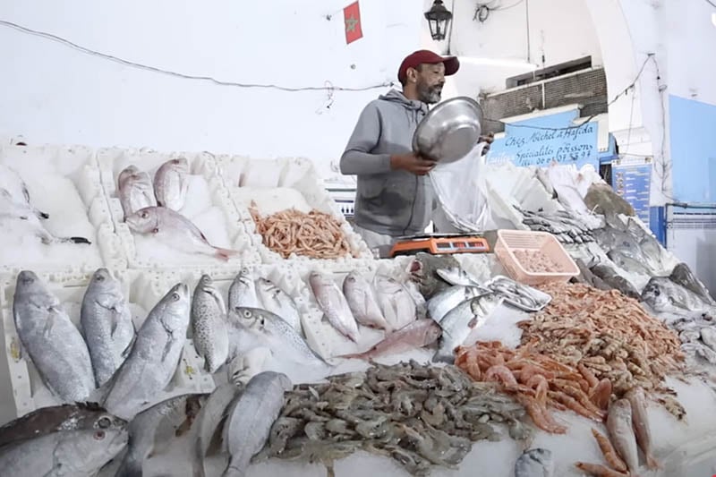 أسعار وأسماك متنوعة بين وعود الحكومة وتحديات السوق خلال رمضان