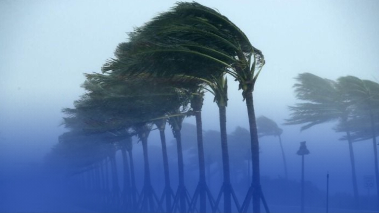 أمطار رعدية غزيرة تتسبب في اضطرابات جوية في عدد من الولايات