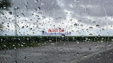أمطار رعدية ورياح قوية تؤثر على عدة ولايات في الوطن