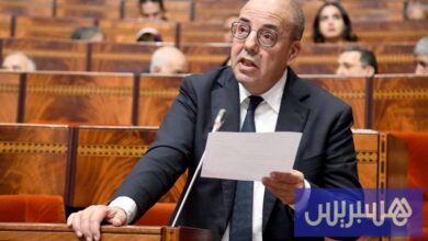 إصلاح منظومة التسويق يعزز استقرار أسعار المواد الفلاحية