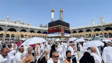 اتحاد الغرف السياحية يوضح حقيقة إيقاف منصة نسك عن شركات العمرة بشكل مؤقت