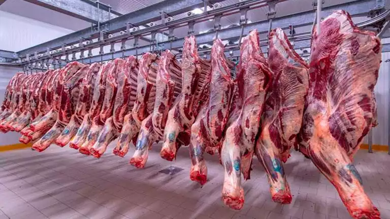 ارتفاع أسعار الفول والمكرونة واللحوم في أسواق اليوم الثلاثاء