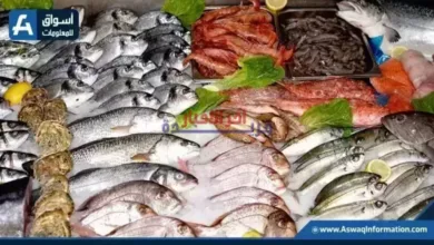ارتفاع سعر البلطي وأسعار السمك اليوم في سوق العبور الخميس