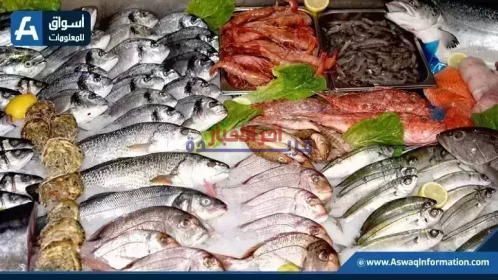 ارتفاع سعر البلطي وأسعار السمك اليوم في سوق العبور الخميس