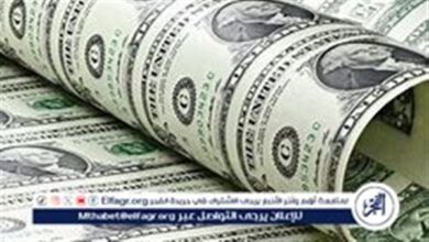 ارتفاع مفاجئ في سعر الدولار مقابل الجنيه المصري خلال تعاملات اليوم الإثنين 2 فبراير 2026