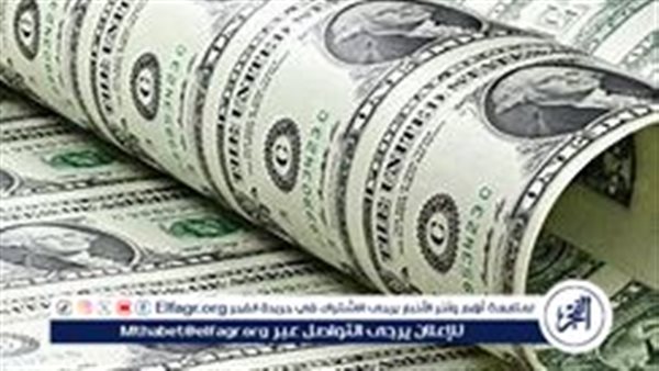 ارتفاع مفاجئ في سعر الدولار مقابل الجنيه المصري خلال تعاملات اليوم الإثنين 2 فبراير 2026