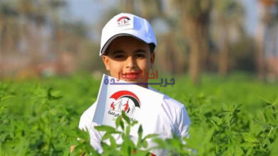 استعلام عن أسماء المقبولين في تكافل وكرامة لعام 2026