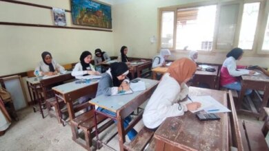 استعلام عن نتائج الشهادة الإعدادية بمحافظة القليوبية لعام 2026… الرابط متاح الآن