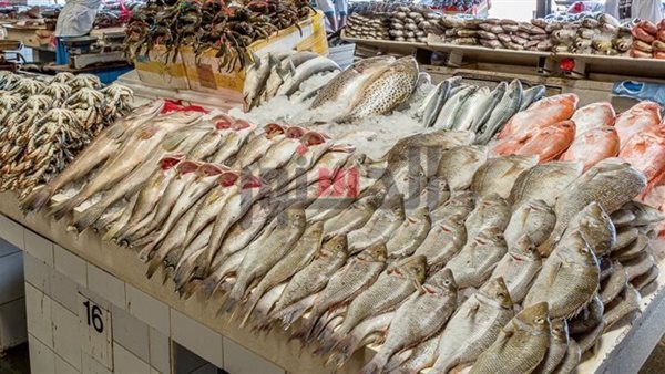 استقرار أسعار الأسماك والمأكولات البحرية في أسواق بورسعيد