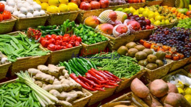 استقرار أسعار الخضروات في أسواق محافظة القاهرة الخميس 5 فبراير 2026