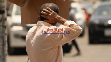 الأرصاد تحذر من طقس الأحد مع ارتفاع درجات الحرارة وهطول أمطار وشبورة ورياح وأتربة عالقة في مختلف المحافظات