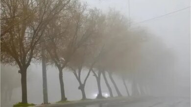 الأرصاد تكشف عن مستجدات حالة الطقس وتأثيرات الحالة المنخفضة الجوية