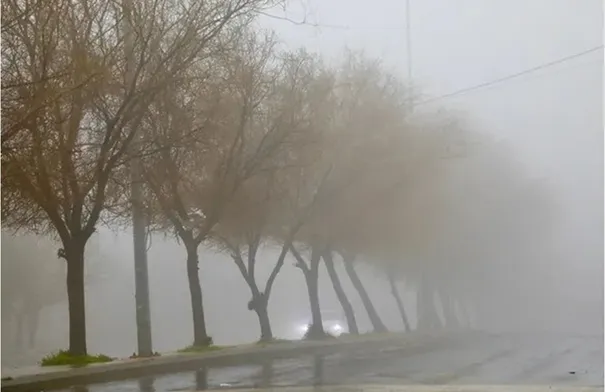 الأرصاد تكشف عن مستجدات حالة الطقس وتأثيرات الحالة المنخفضة الجوية