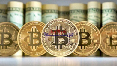 البتكوين تعود للقمة بدعم من أسهم التكنولوجيا والمعادن النفيسة