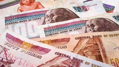 البنك المركزي يُصدر صكا سياديا بقيمة 5 مليارات قبل تحديد سعر الفائدة على الجنيه