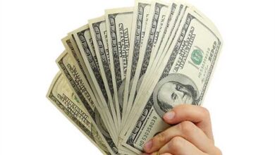 الدولار يحقق ارتفاعًا بقيمة 25 قرشًا مقابل الجنيه المصري