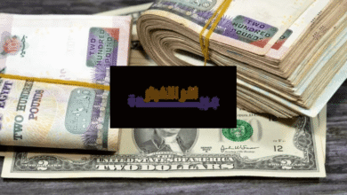 الدولار يسجل ارتفاعاً بقيمة 3 قروش ويصل إلى متوسط بيع 47.01 جنيه بنهاية أسبوع التداول