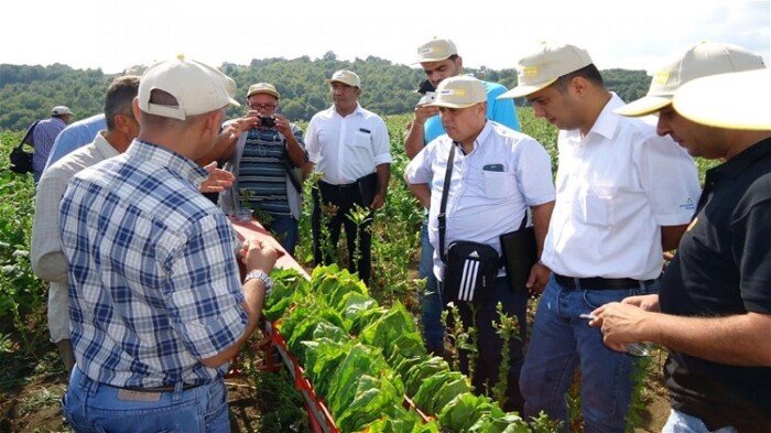 الزراعة تنجح في دعم 715 ألف مزارع بالريف عبر أنشطة بحوث الإرشاد الزراعي
