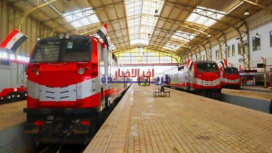السكة الحديد توضح الحقيقة حول وجود حشرات في عربة قطار 2008 من الإسكندرية إلى أسوان