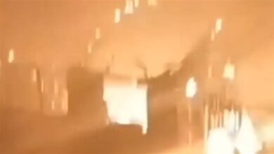 السيطرة على حريق حظيرة مواشي بأسوان بعد نفوق 3 رؤوس ماشية