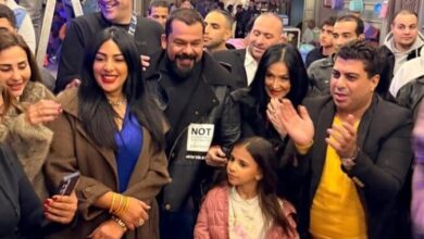 «المهن التمثيلية» تعلن وقف المسلسل بشكل نهائي وتحظر عرضه في رمضان 2026