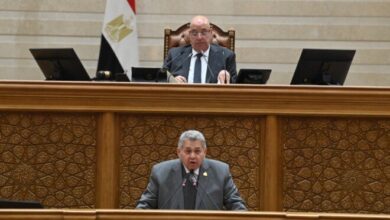 النواب يوافقون على قرار رئيس الجمهورية انضمام مصر إلى برنامج أفق أوروبا للبحث العلمي لتعزيز التعاون الأكاديمي والتنمية التكنولوجية