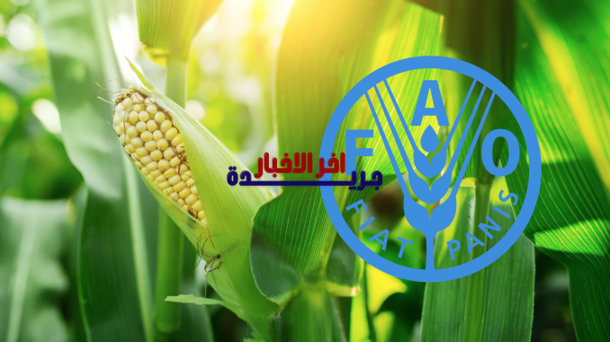 انخفاض أسعار الأغذية يستمر للشهر الخامس على التوالي ويؤثر على المستهلكين بشكل ملحوظ